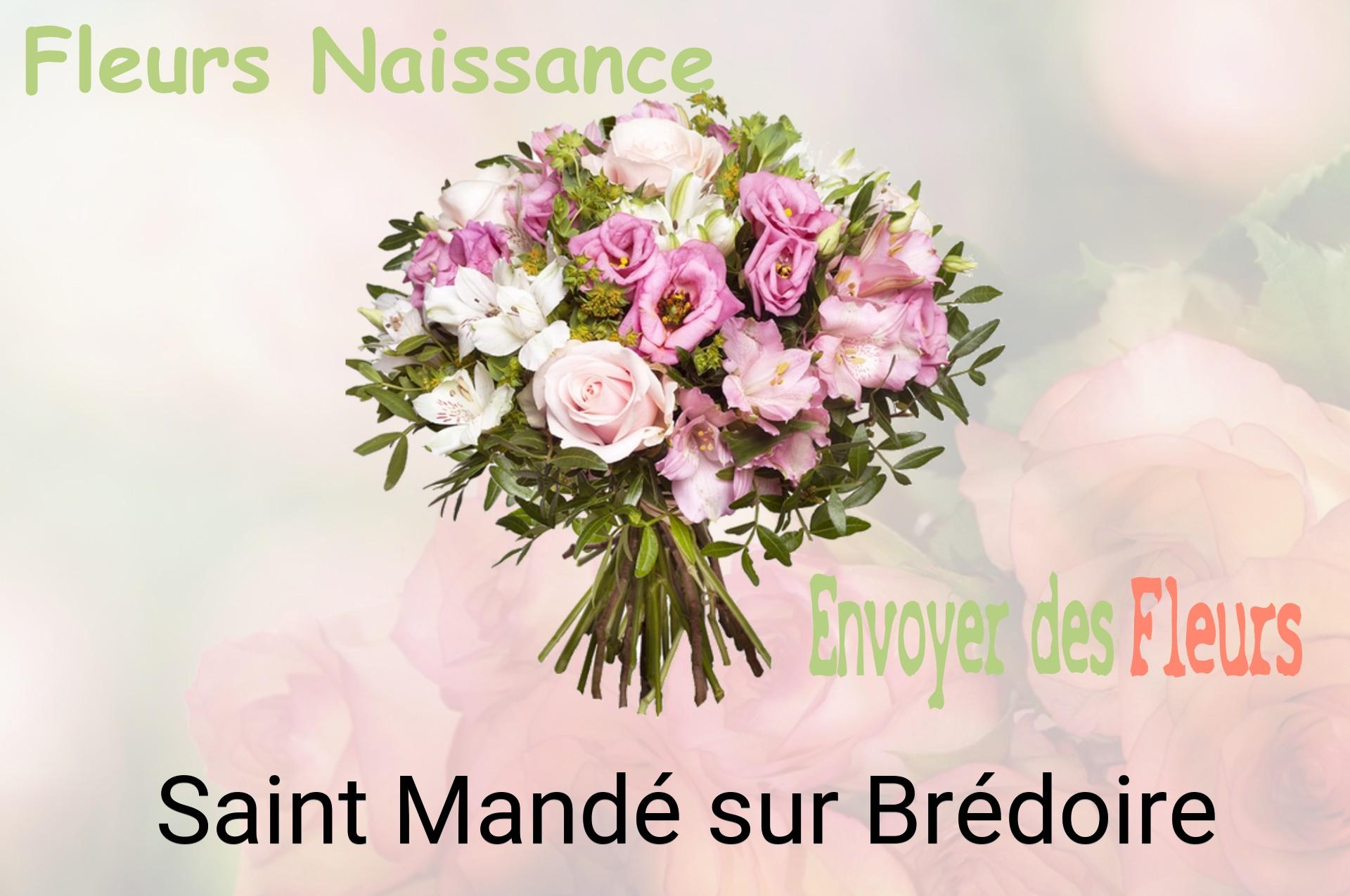 Bouquet de fleurs de naissance livré à Saint-Mandé-sur-Brédoire